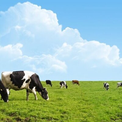 Kemp machines landbouw.jpg